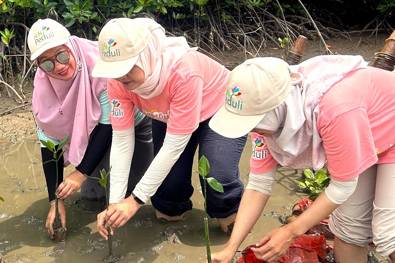 Keterlibatan aktif dari perempuan dapat berkontribusi dalam meningkatkan competitive advantage dan value dari perusahaan. Foto: Dok PLN