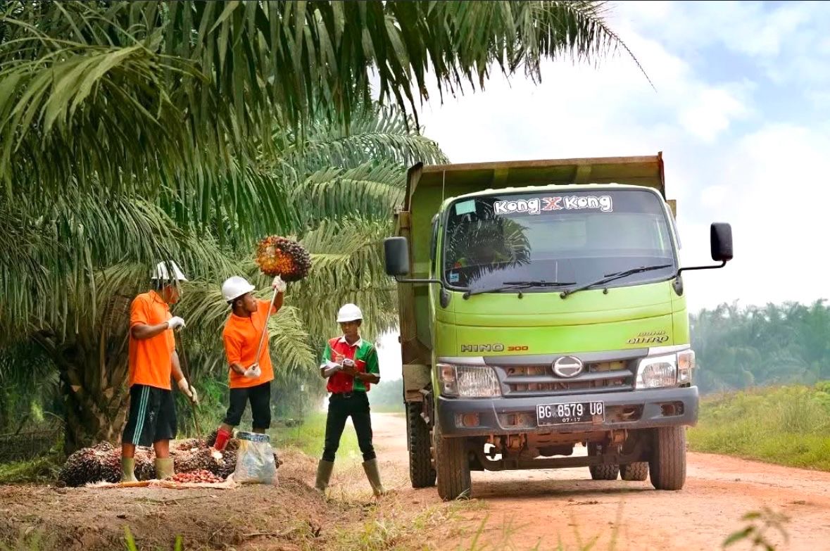 Pekerja mengangkut tandan buah segar (TBS) kelapa sawit ke dalam truk di salah satu perkebunan milik PT Salim Ivomas Pratama Tbk. Sumber: Instagram @salimivomaspratama.