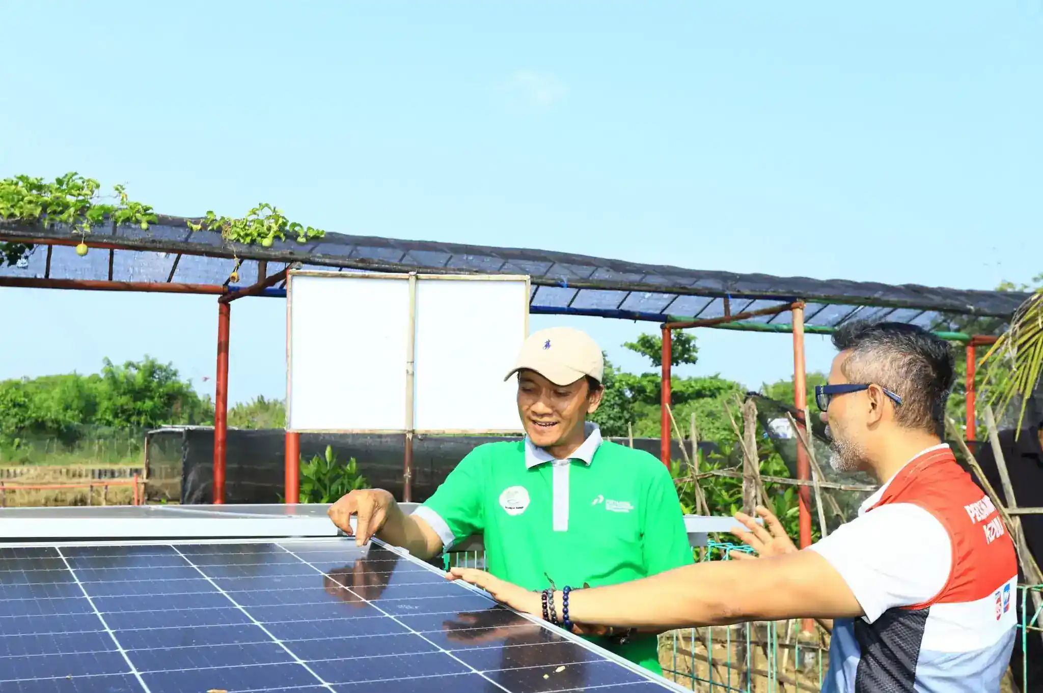 Panel surya milik DEB Pertamina. (Foto: Istimewa)