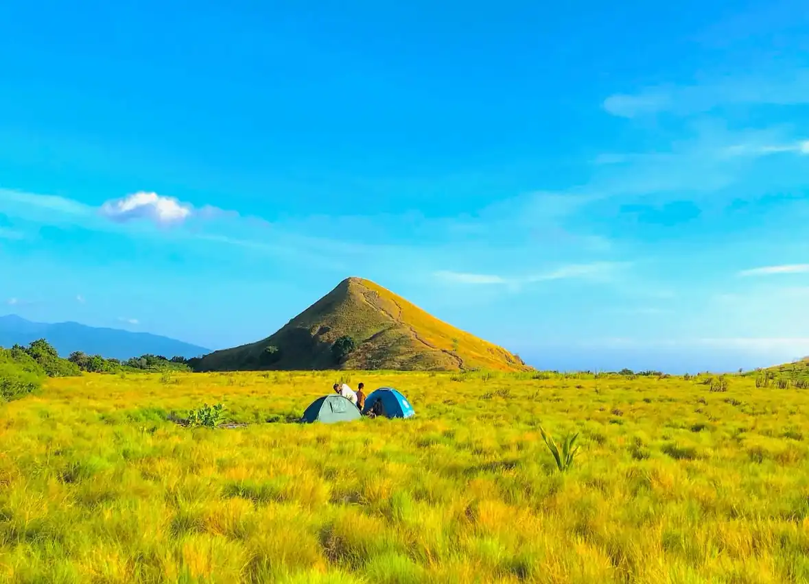Hamparan savana dan perbukitan di Pulau Sumbawa, Nusa Tenggara Barat. Wilayah ini dinilai berpotensi memenuhi kebutuhan listrik sepenuhnya dari energi terbarukan, terutama tenaga surya. Foto: Instagram @pulausumbawatrip.