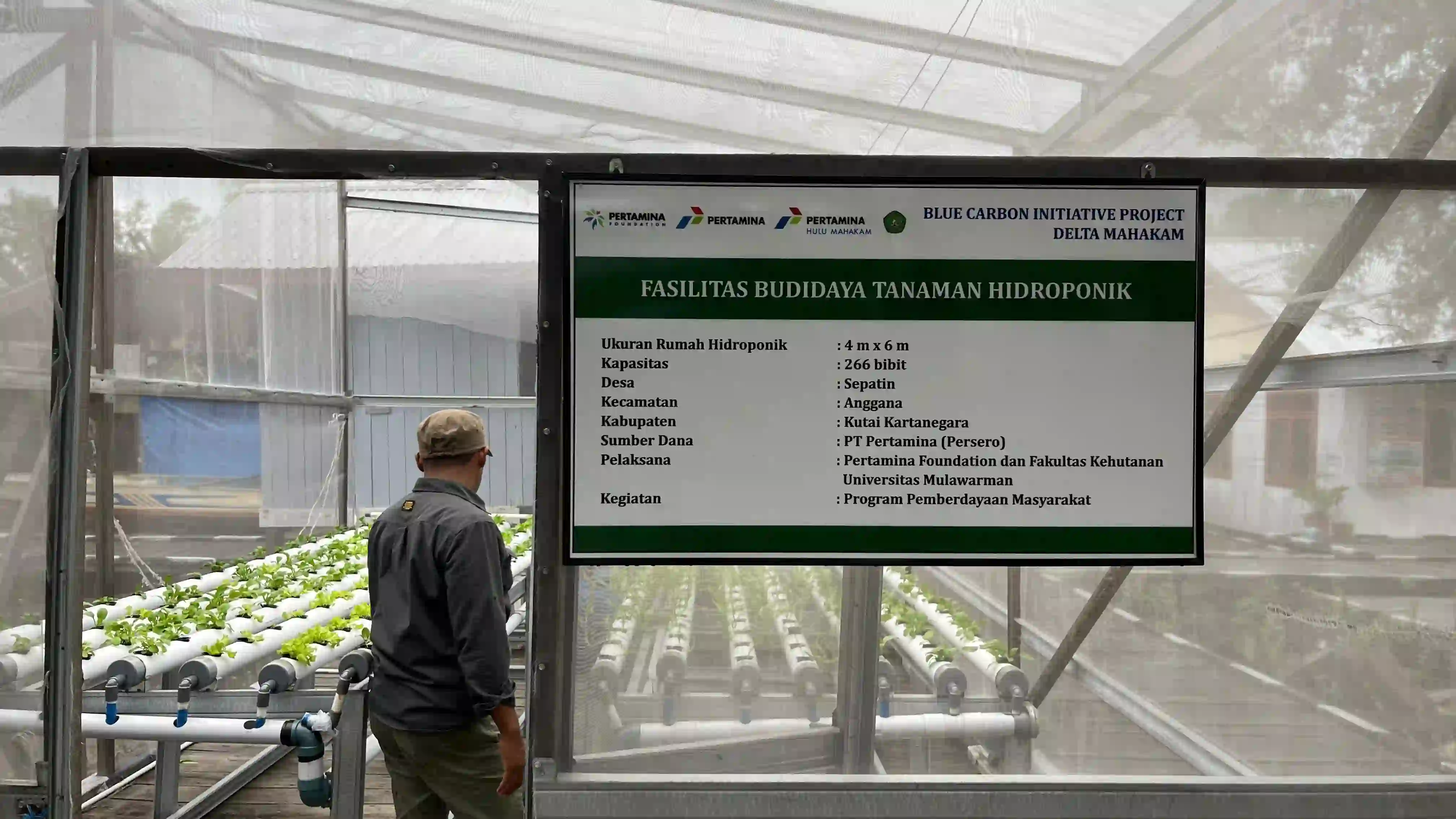 Hutan Lestari Pertamina merupakan program konservasi dan reforestasi hutan yang diwujudkan dengan penanaman pohon mangrove dan daratan