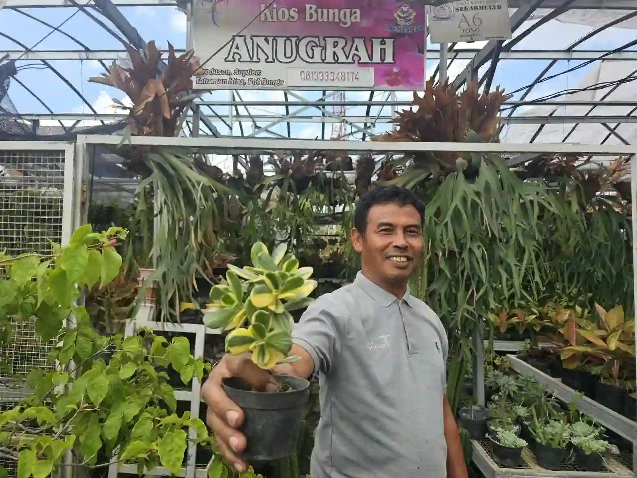 Deretan tanaman hias yang menjadi salah satu sumber pendapatan