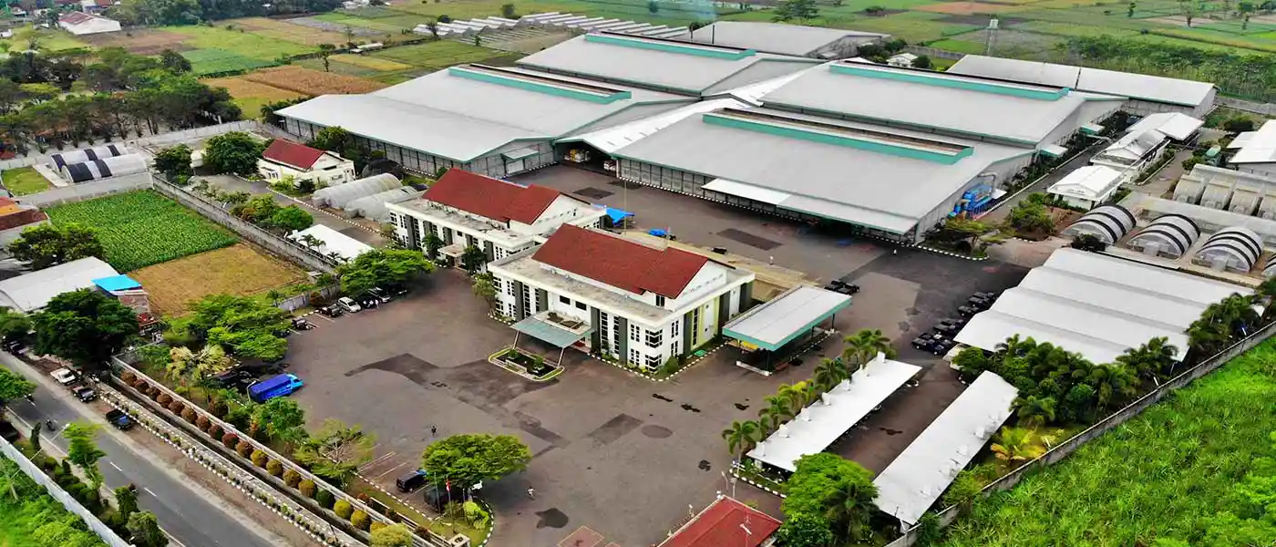 Foto dari udara yang menampilkan lanskap perkebunan dan gedung Bisi Internasional. (Foto: Dok. Bisi)