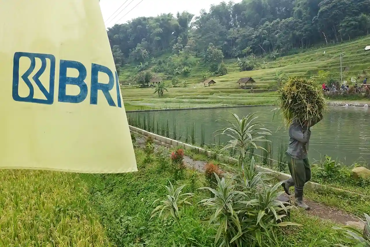 Ilustrasi: BRI dengan Kredit Usaha Rakyat atau KUR-nya. (Foto: Dok. BRI)