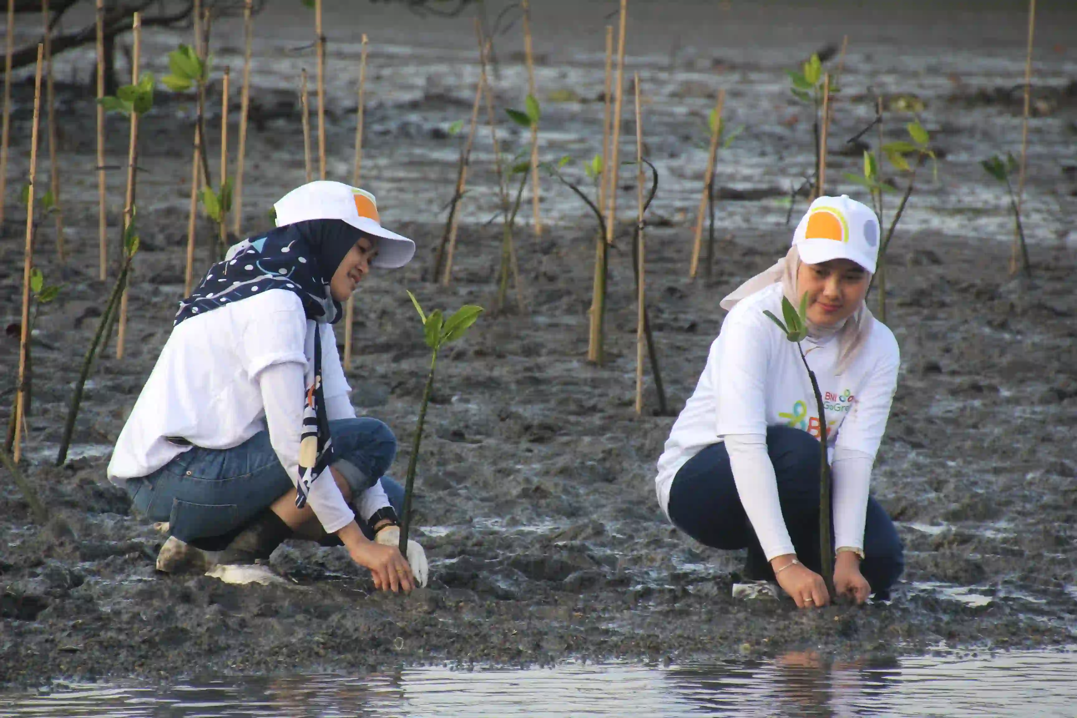 BNI terus memperkuat komitmennya terhadap pelestarian lingkungan dan mitigasi perubahan iklim. Foto: dok BNI