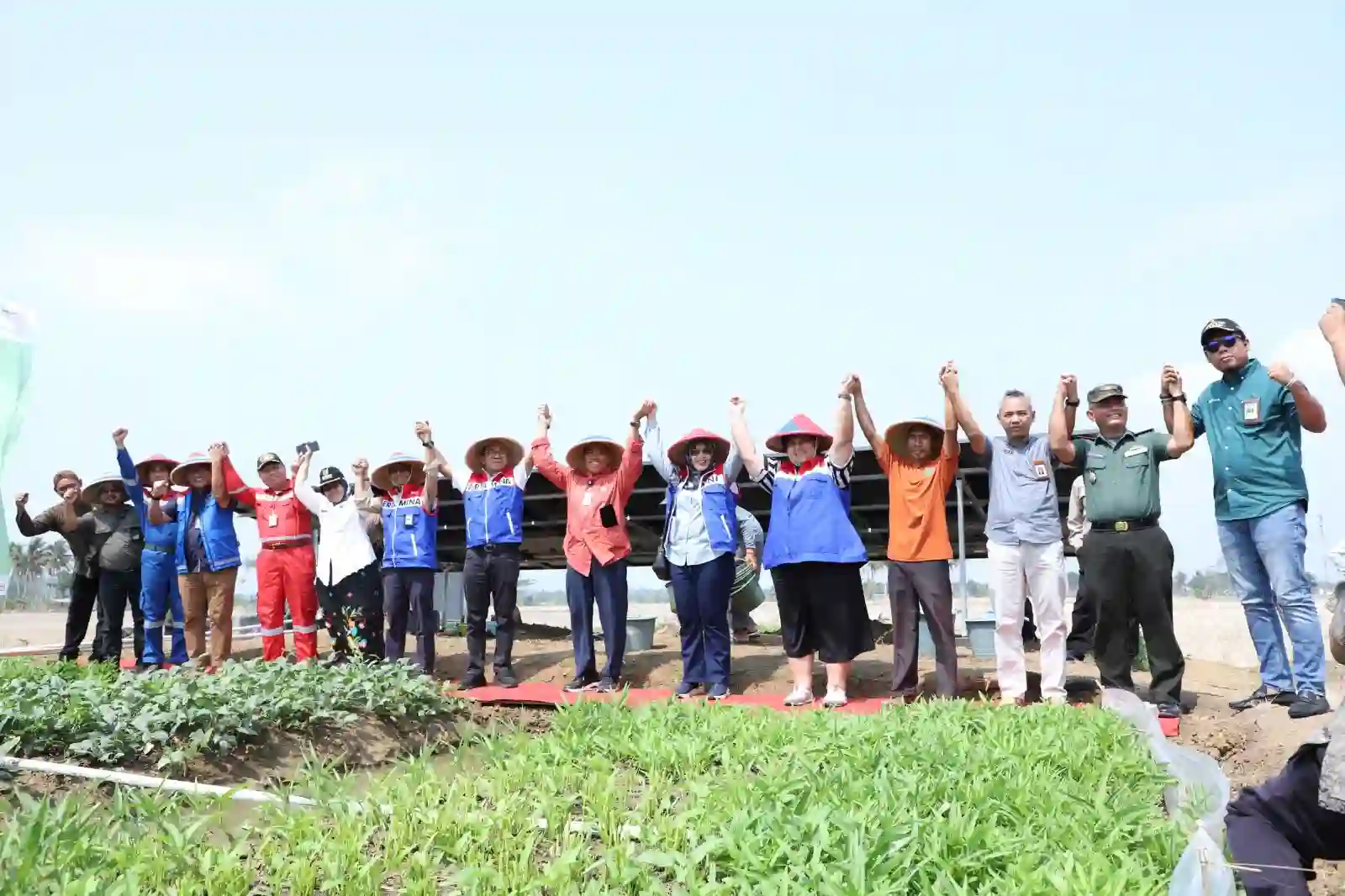 DEB Kalijaran saat ini mengoperasikan irigasi lahan pertanian dengan PLTS dan PLTB. Foto: dok Pertamina