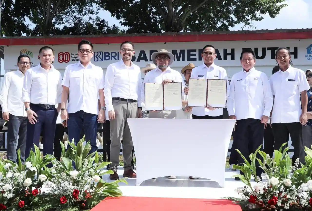 Dukungan BRI terhadap Program Sapi Merah Putih sejalan dengan misi BRI untuk hadir di tengah masyarakat
