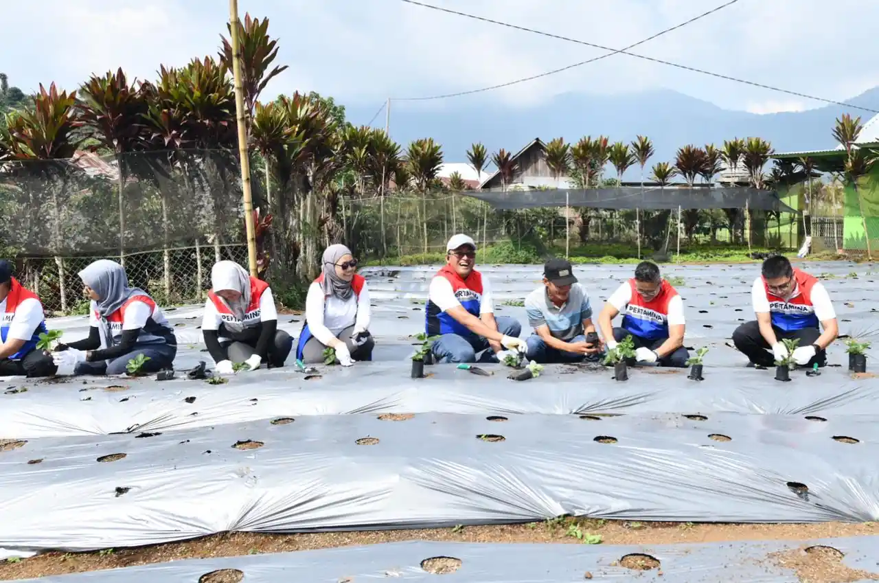 Program unggulan Desa Energi Berdikari, binaan Pertamina. Foto: Dok Pertamina.
