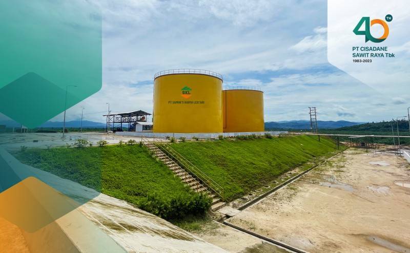 Penampakan wilayah kerja PT Cisadane Sawit Raya Tbk (Perseroan) (foto/PT Cisadane Sawit Raya)