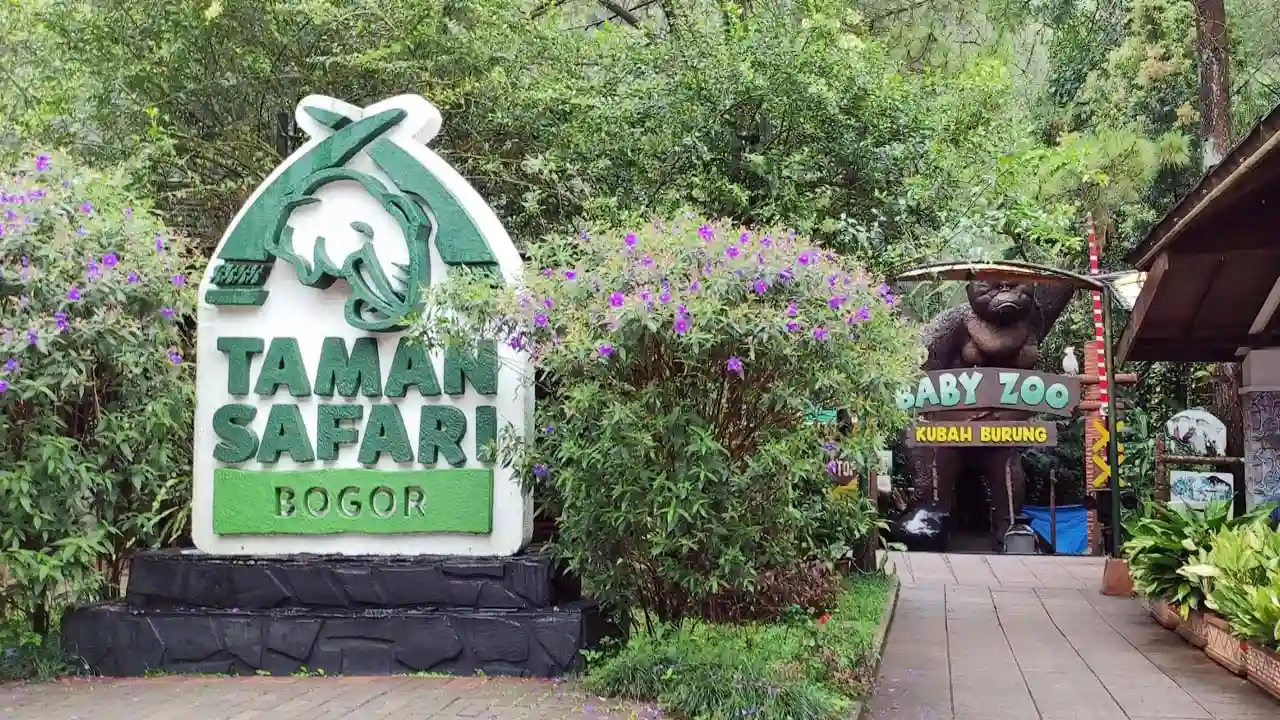 Ilustrasi Taman Safari Indonesia. Dok KabarBursa.com
