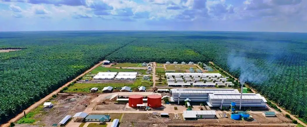 PT Triputra Agro Persada Tbk (TAPG) melaporkan transaksi afiliasi berupa penerimaan dividen interim dari 12 perusahaan terkendali. (Foto: Dok. Triputra Agro Persada)