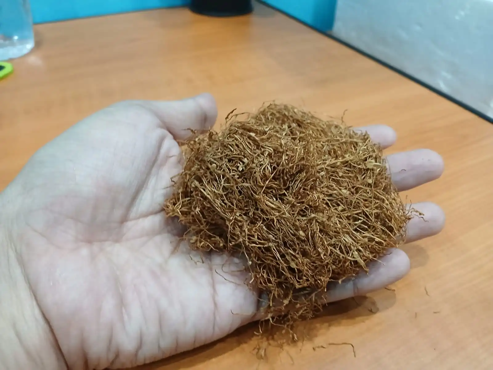 Tembakau rokok (Dok: KabarBursa)