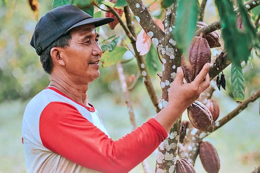 PT Wahana Interfood Nusantara Tbk (COCO), produsen kakao dan cokelat, resmi mengumumkan rencana aksi korporasi berupa Penambahan Modal dengan Hak Memesan Efek Terlebih Dahulu II. (Foto: Dok. Wahana Interfood)