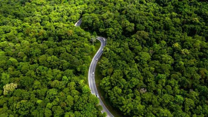 Ilustrasi penghijauan (foto: IDX Carbon)
