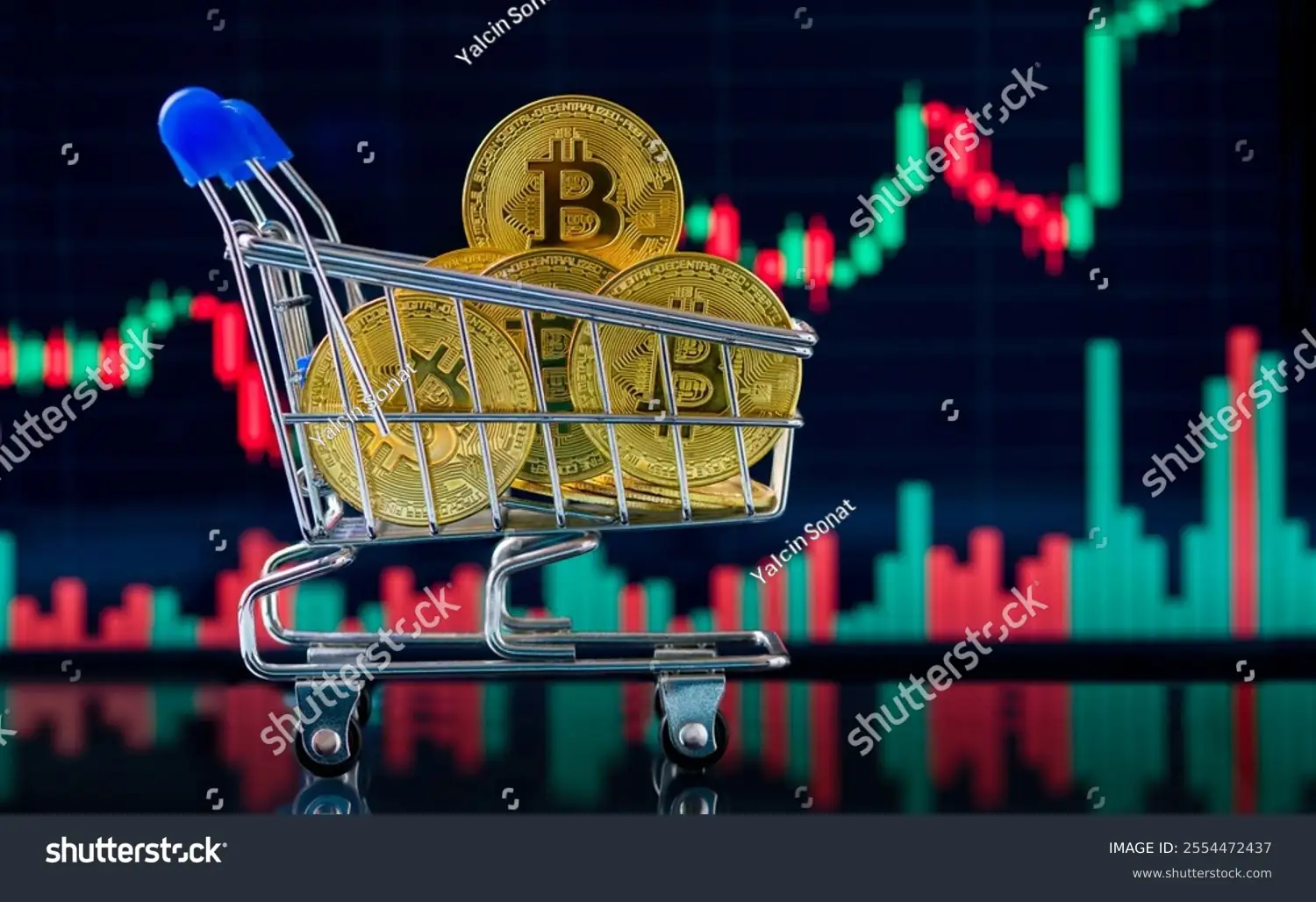 Ilustrasi bitcoin. Foto: Shutterstock.
