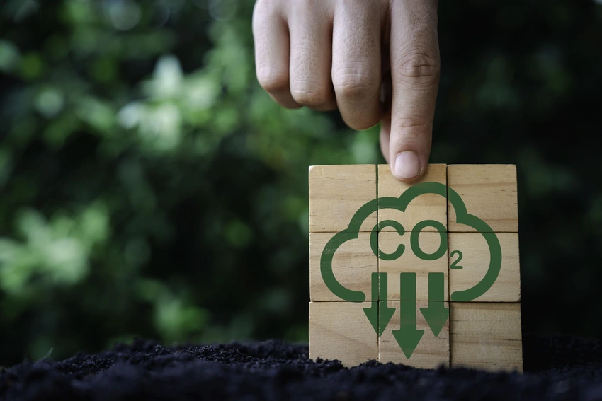 Potensi karbon nasional berkualitas tinggi—atau high integrity carbon—yang siap bersaing di pasar global