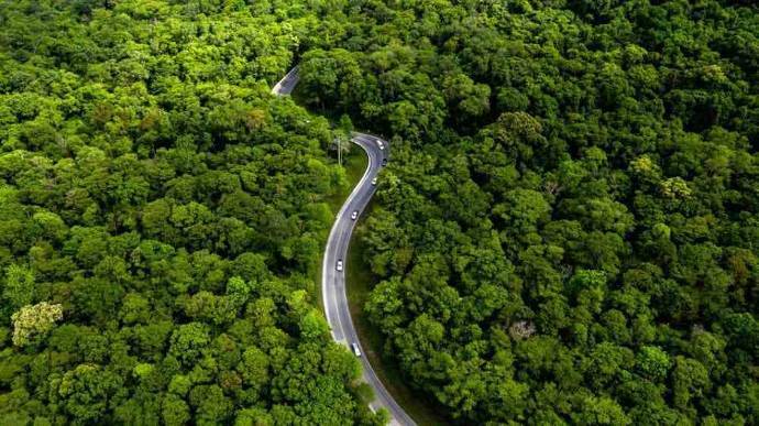 Ilustrasi penghijauan (foto: IDX Carbon)