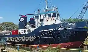 Salah satu armada milik PT Bintang Samudera Mandiri Lines Tbk. Foto: Dok BSML.