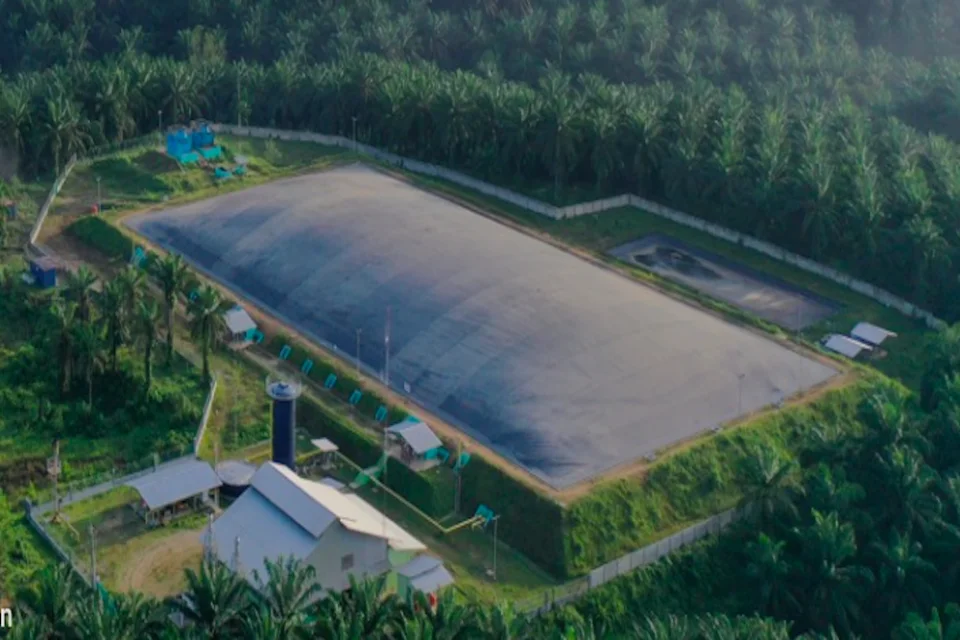 PT Eagle High Plantations Tbk. Foto: BWPT.