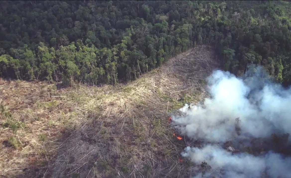 Tahun 2025 tercatat sebagai salah satu tahun terpanas, batas Perjanjian Paris terlampaui, dan krisis iklim kian menjauh dari kendali global. Foto: Forest Digest