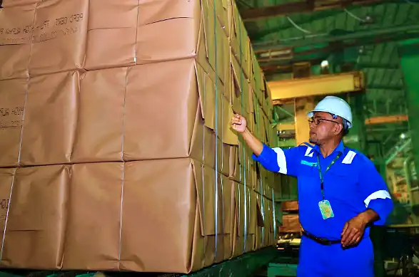 PT Toba Pulp Lestari Tbk (INRU) mengakui adanya risiko terhadap pasokan bahan baku kayu seiring sorotan pemerintah atas izin Perizinan Berusaha Pemanfaatan Hutan (PBPH). (Foto: Dok. Toba Pulp)