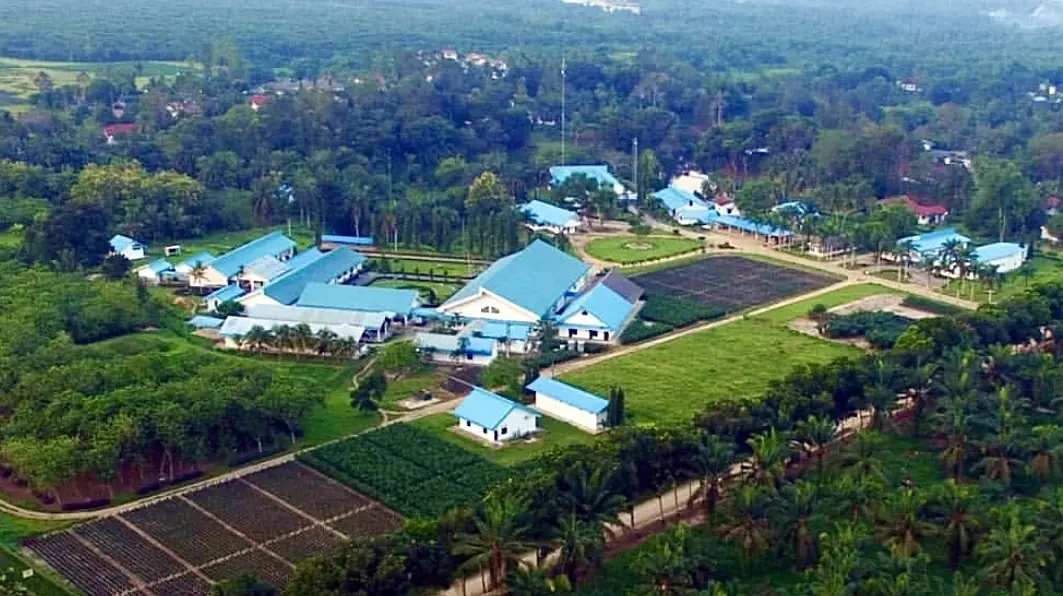 Area Sumatra Bioscience (SumBio) / Bah Lias Research Station (BLRS) di Sumatera Utara, fasilitas riset milik PT PP London Sumatra Indonesia Tbk (LSIP) yang bera