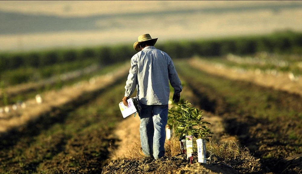 Petani AS menghadapi kelangkaan pupuk akibat perang Iran yang menutup jalur perdagangan di Selat Hormuz dan memicu lonjakan harga pupuk global. Foto: Getty Images