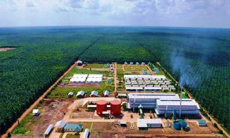 Aksi Ratu Batu Bara Arini Subianto memborong saham TAPG membuat harga berada di area 1.700. (Foto: Dok Triputro Agro Persada)