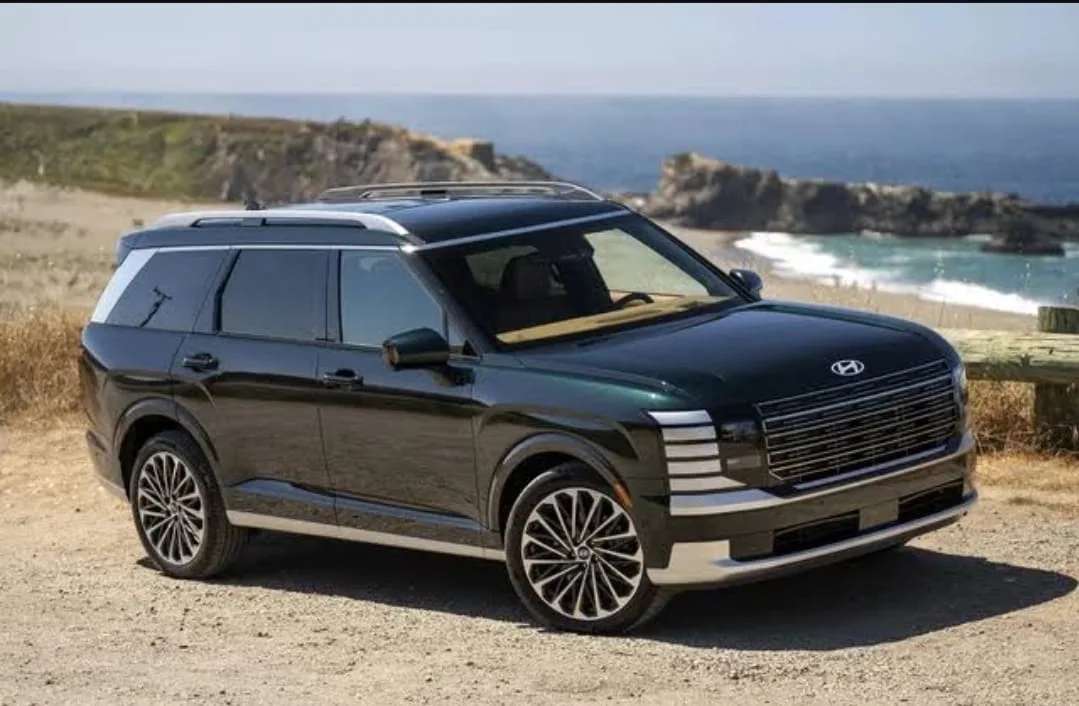 Hyundai hentikan penjualan Palisade terkait insiden fatal yang mengakibatkan bayi berumur dua tahun meninggal dunia. Foto: Cars US NewsHyundai hentikan penjualan Palisade terkait insiden fatal yang mengakibatkan bayi berumur dua tahun meninggal dunia. Foto: Cars US News