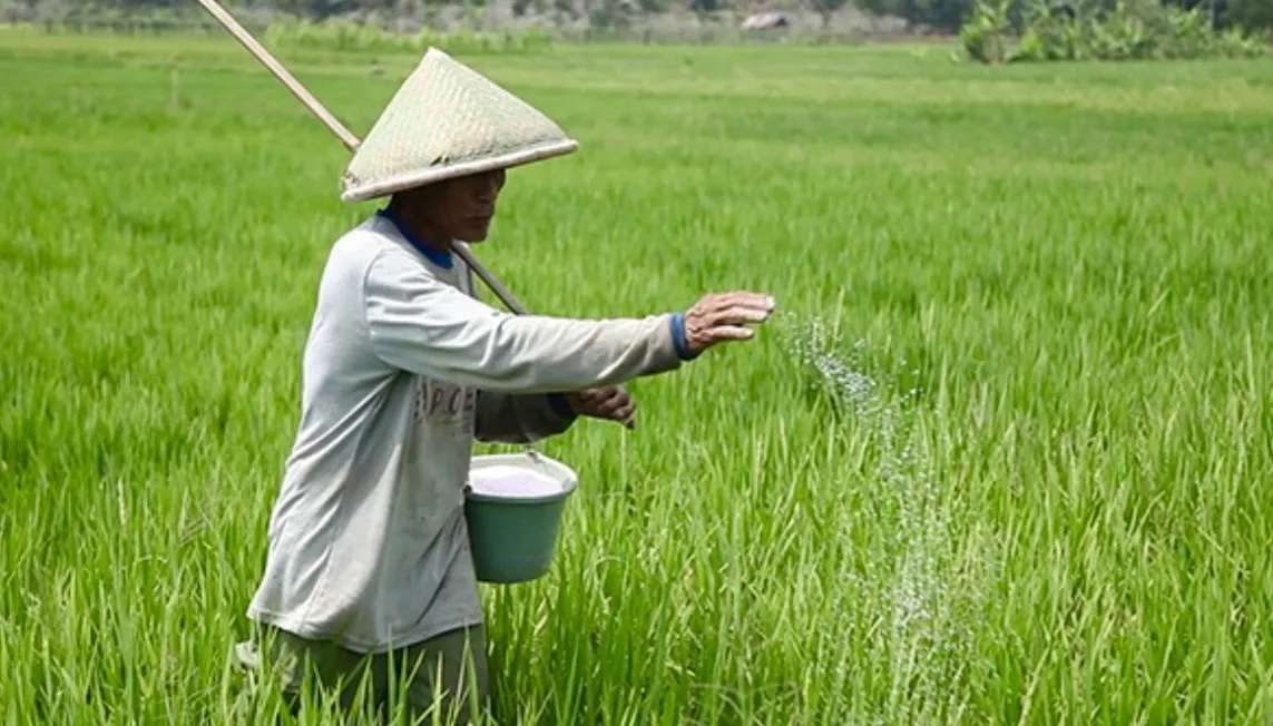 Konflik Iran picu krisis pupuk global, ancam hasil panen dan dorong kenaikan harga pangan di berbagai negara termasuk Indonesia. Foto: Dok. Kementan
