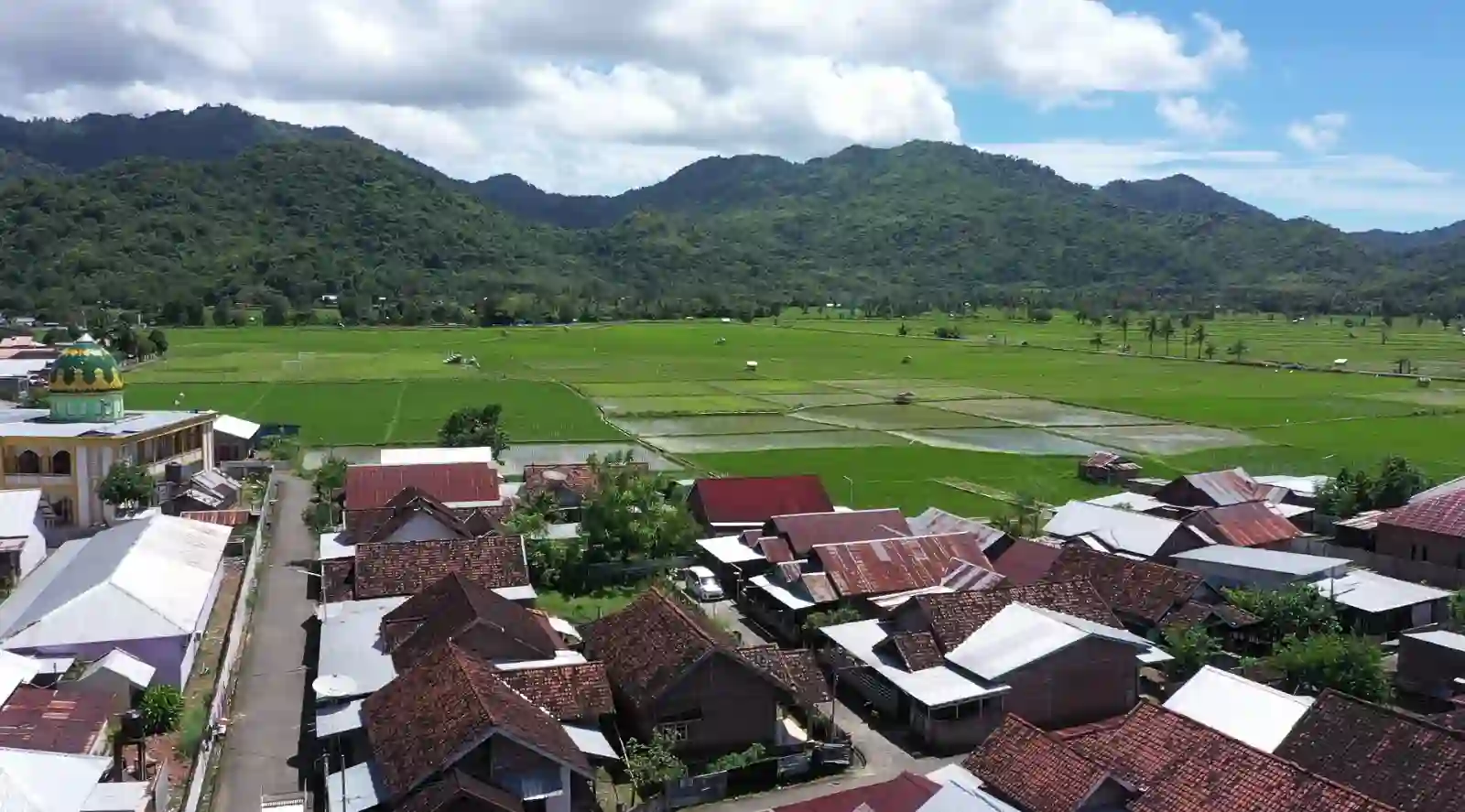 Desa Manemeng percepat transformasi ekonomi di berbagai sektor lewat program Desa BRILiaN dari Bank BRI. Foto: dok. BRI