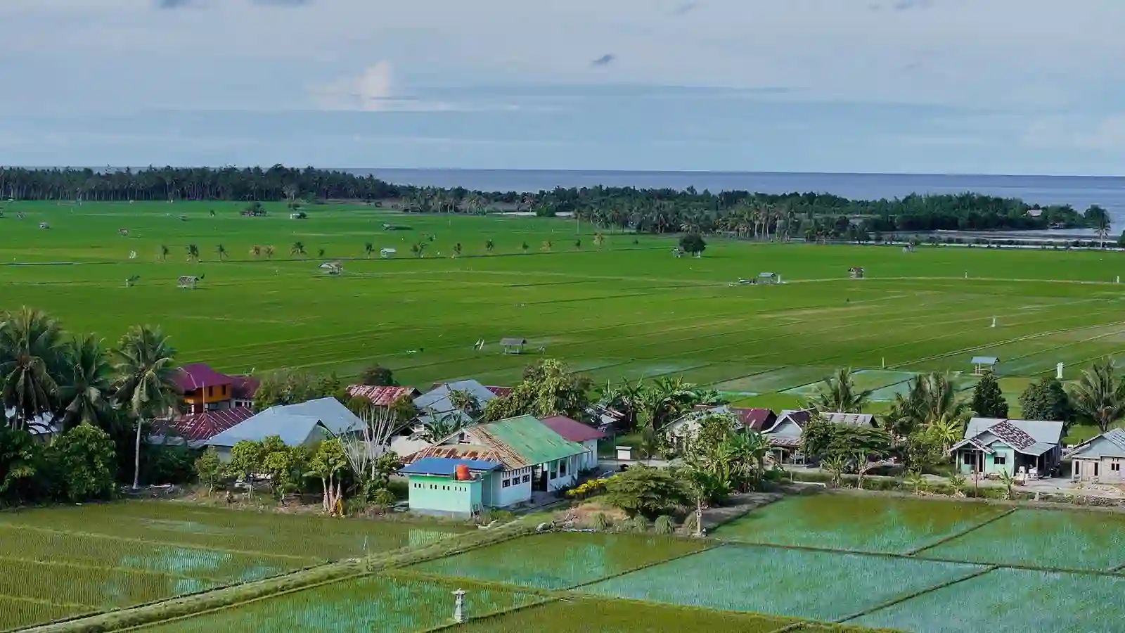 Desa Sausu Tambu bangun ekonomi pesisir lewat pariwisata dan klaster usaha, ditopang program Desa BRILiaN BRI. Foto: dok. BRI
