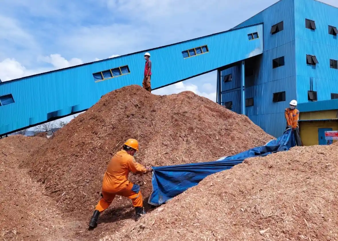 Cofiring batu bara jadi strategi transisi energi Indonesia. Teknologi ini menekan emisi dengan memanfaatkan biomassa tanpa menghentikan PLTU. Foto: Dok. PLN