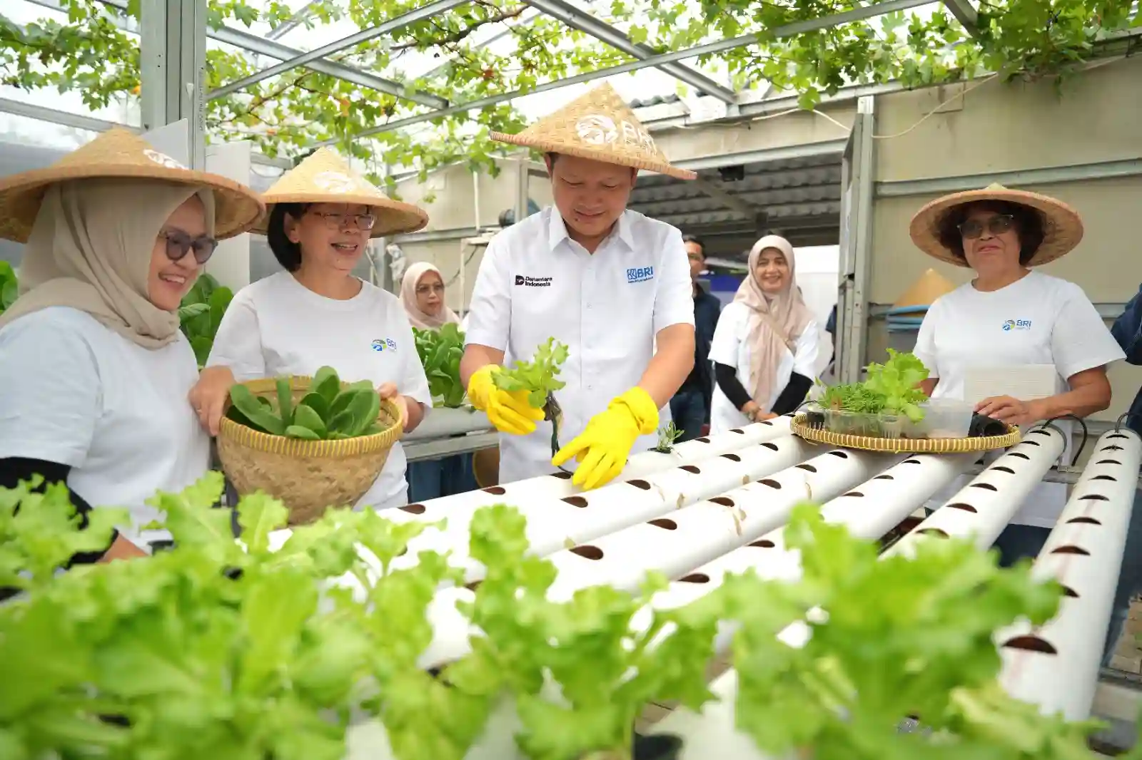 Urban farming hidupkan lahan tidur di Jakarta, BRI dorong pemberdayaan perempuan. Foto: dok. BRI