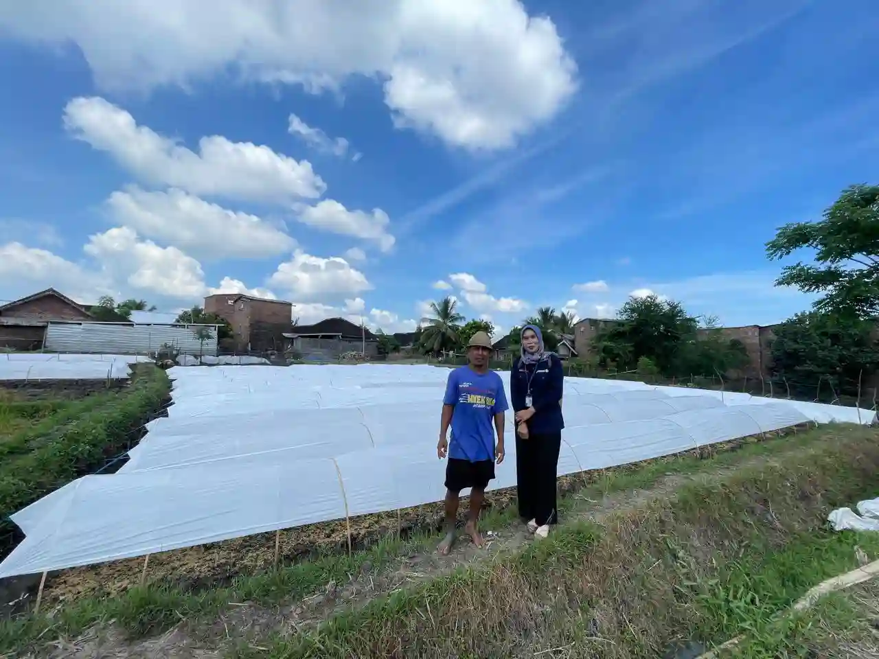 Peran Mantri BRI dorong ekonomi desa, Sri Malasarin bantu petani akses modal hingga pasar. Foto: dok. BRI