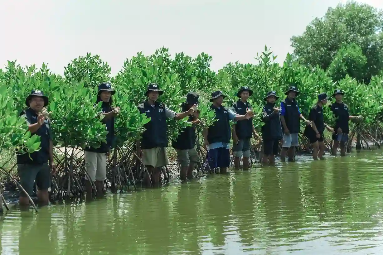 BRI tanam 500 mangrove di Muara Gembong, Bekasi. Perkuat ekosistem hingga ekonomi pesisir. Foto: dok. BRI