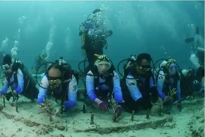 Aksi BRI di Sabang: selamatkan terumbu karang, dorong ekonomi pesisir. Foto: dok. BRI
