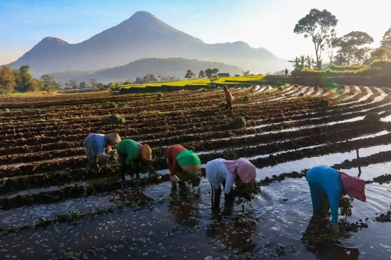 BRI salurkan kredit berkelanjutan Rp815,4 triliun hingga kuartal I 2026, UMKM jadi fokus utama. Foto: dok. BRI