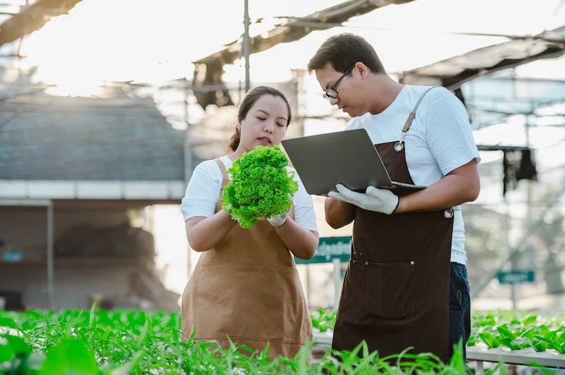 Ilustrasi green jobs. Foto: freepix.