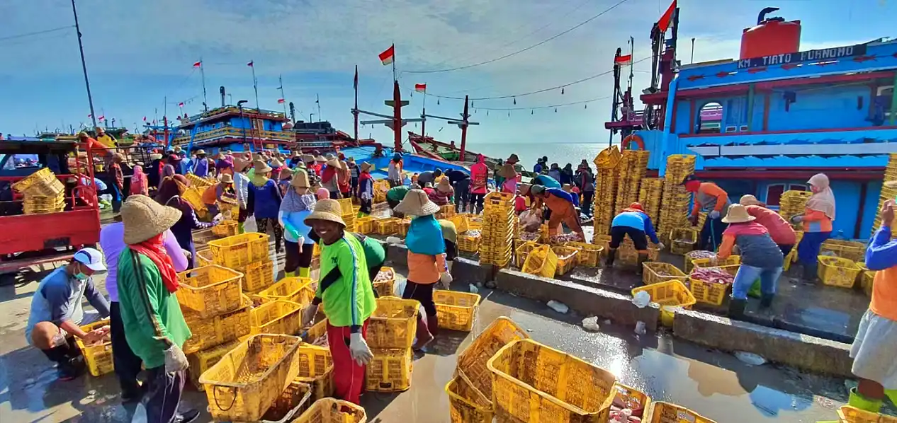 Pergerakan saham ASHA kembali jadi perhatian pasar setelah terkoreksi dalam tiga bulan terakhir. (Foto: Dok. Cilacap Samudera Fishing Industry)