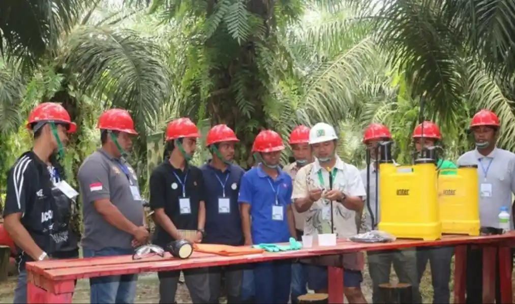 PT Triputra Agro Persada Tbk (TAPG) siap bagikan dividen Rp3,57 triliun pada Juni 2026. Foto: dok. TAPG