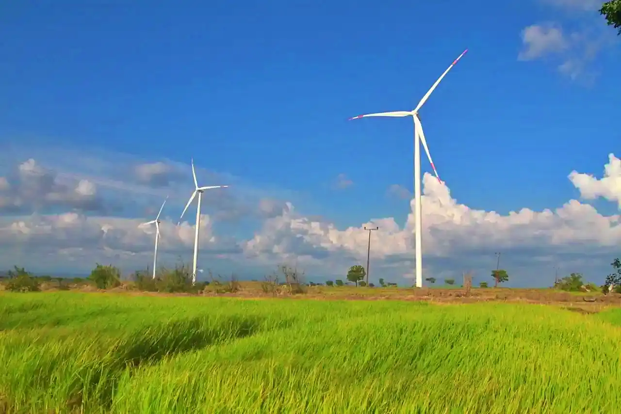 Indonesia Climate Change Trust Fund atau ICCTF mulai menggarap instrumen pendanaan berbasis nilai ekonomi karbon sektor kelautan guna mengoptimalisasi aset pesisir nasional. (Foto: Dok. Kabarbursa.com)