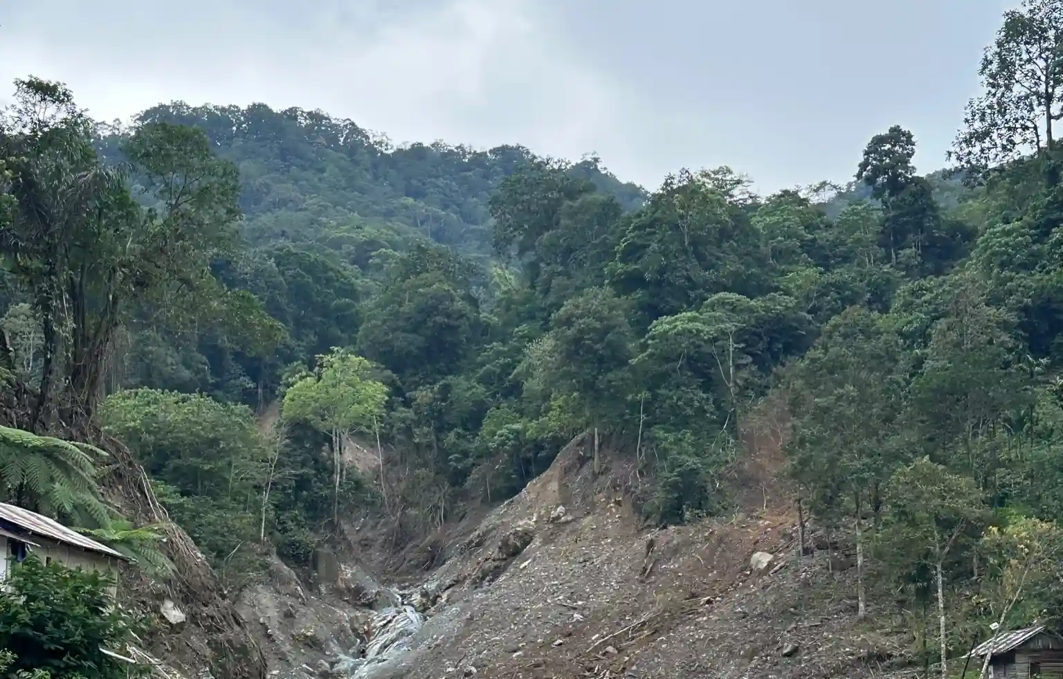 Hutan di Padang Panjang, Sumatera Barat, pasca banjir besar akhir 2025. Bekas longsor tampak membelah lereng akibat hujan berkepanjangan yang mengguyur wilayah ini selama berhari-hari. Foto: Alpin Pulungan/KabarBursa.